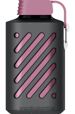 VOZOL Vape Sale - VOZOL GEAR 10000 maracuyá frambuesa mandarina J4HRR300