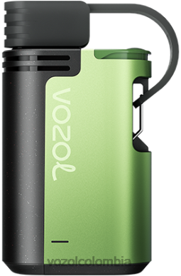 VOZOL Vape Flavors - VOZOL GEAR 4000c/6000 hielo de sandia J4HRR329