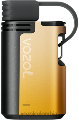 VOZOL Vape Store - VOZOL GEAR 4000c/6000 mango maracuyá J4HRR327