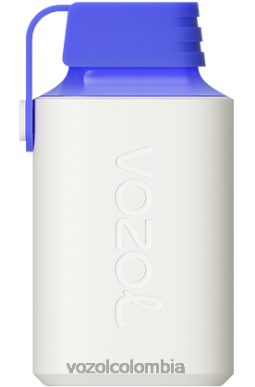 VOZOL Review - VOZOL GEAR 600 limón razz azul J4HRR346