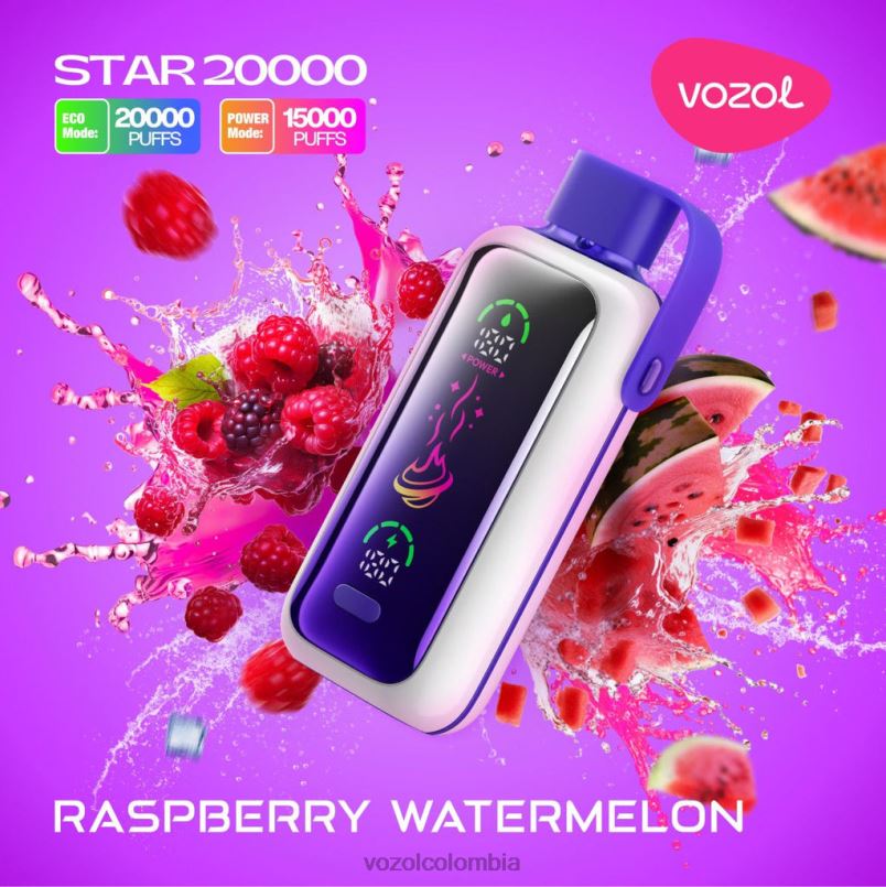 VOZOL Vape Flavors - VOZOL STAR 20000 sandía frambuesa RNR2N19