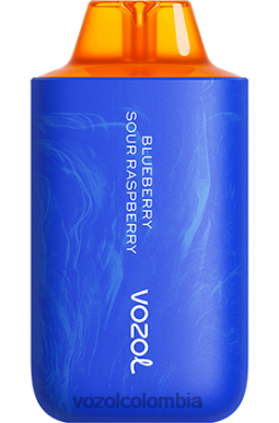 VOZOL Review - VOZOL STAR 6000/8000v2 arándano frambuesa agria J4HRR56