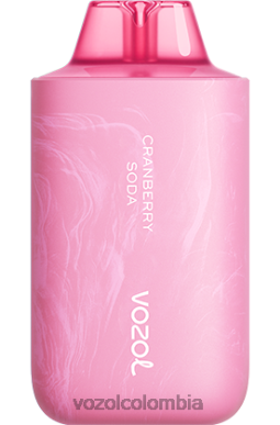 VOZOL Vape Buy - VOZOL STAR 6000/8000v2 refresco de arándano J4HRR58