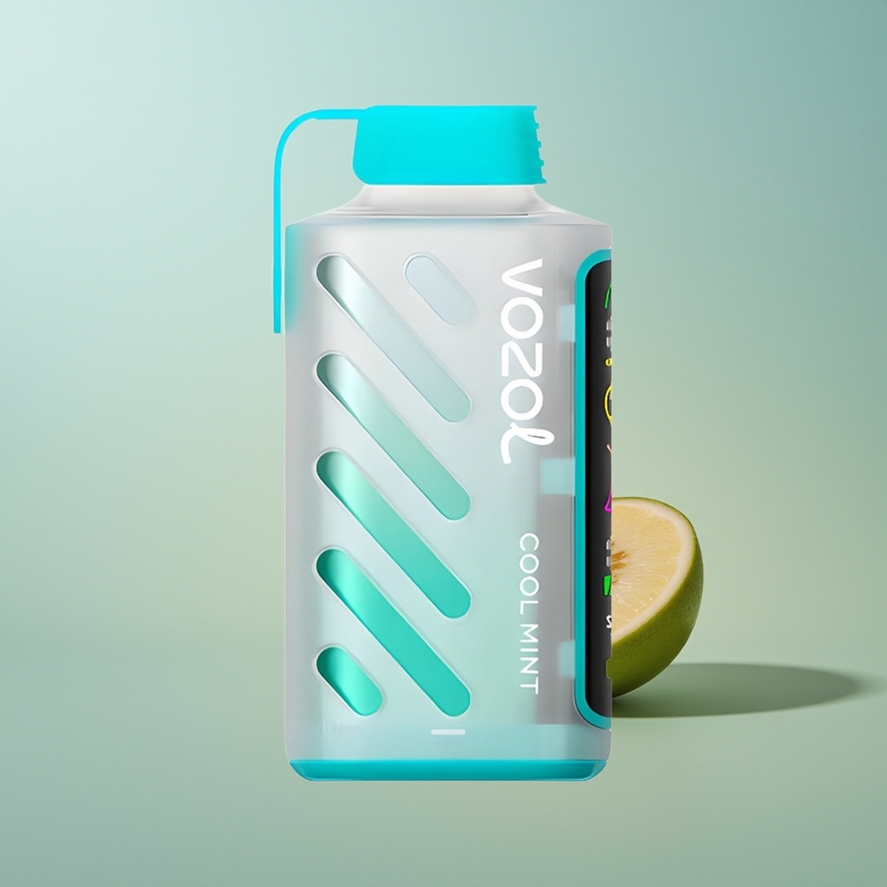 VOZOL Gear Power 20000 Menta Fresca con Pantalla Completa