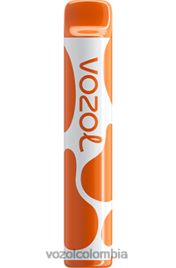 VOZOL Vape Flavors - VOZOL JOYGO 600 café J4HRR379
