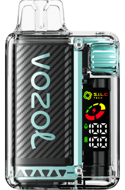 VOZOL Vape Flavors - VOZOL VISTA 16000/20000 menta de miami J4HRR9